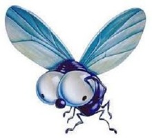 Дезинсекция. Уничтожение мух быстро и качественно - Клининговые услуги в Краснодарском Крае