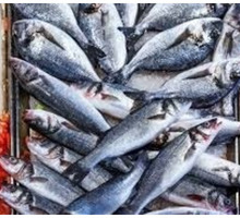 Производственное помещение 280 кв.м. - Продам в Тимашевске