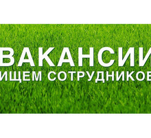Секретарь-референт - Секретариат, делопроизводство, АХО в Сочи