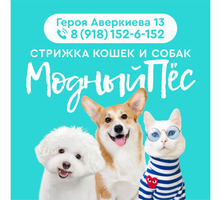 Стрижка кошек и собак - Ателье, обувные мастерские, мелкий ремонт в Краснодарском Крае
