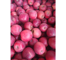 Яблоки Энтерпрайз - Эко-продукты, фрукты, овощи в Геленджике