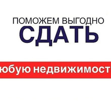 Помогу сдать