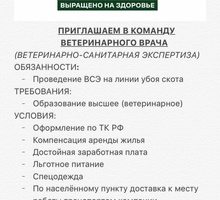 ​Приглашаем в команду  ветеринарного врача - Сельское хозяйство, агробизнес в Краснодарском Крае