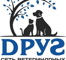 ​Ветклиника «Друг» приглашает на работу Ассистентов врача. - Сельское хозяйство, агробизнес в Краснодарском Крае