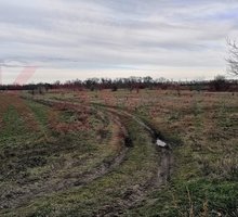 Продажа участка, 15 соток - Участки в Старомышастовской