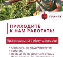 Требуется садовод - Рабочие специальности, производство в Курганинске