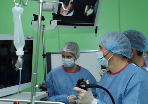 Вместо опухоли паразиты. На Кубани врачи планировали избавить пациентку от новообразования, но извлекли клубок паразитов