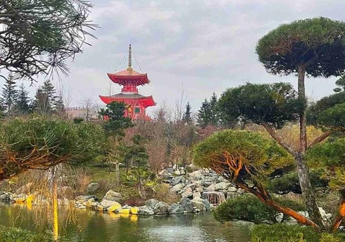 В Японский сад - по QR-коду: в парке Галицкого открыли новую локацию