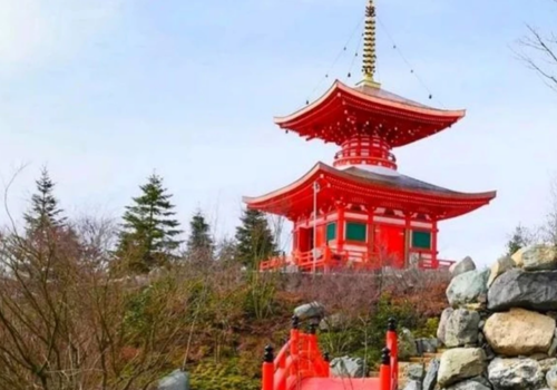 В Краснодаре начали продавать бесплатные билеты в Японский сад