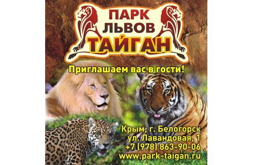 Парк львов «Тайган» в Крыму для жителей Кубани: интересный, познавательный отдых для взрослых и детей!